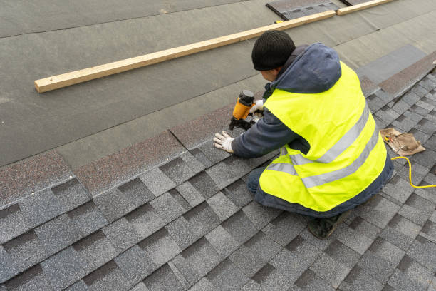 Best Gutter Installation and Roofing  in Holgate, OH