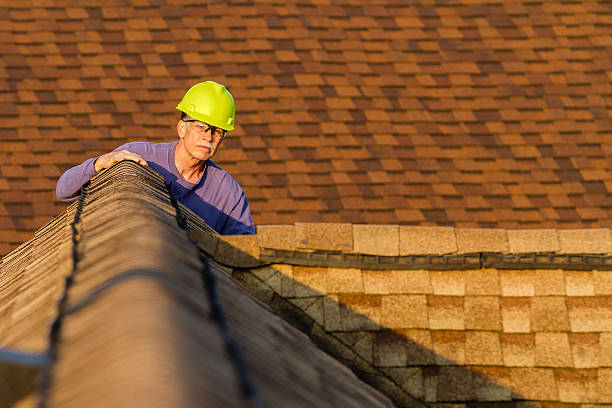 Best Roof Gutter Cleaning  in Holgate, OH