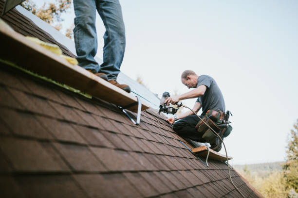 Best Roof Gutter Cleaning  in Holgate, OH